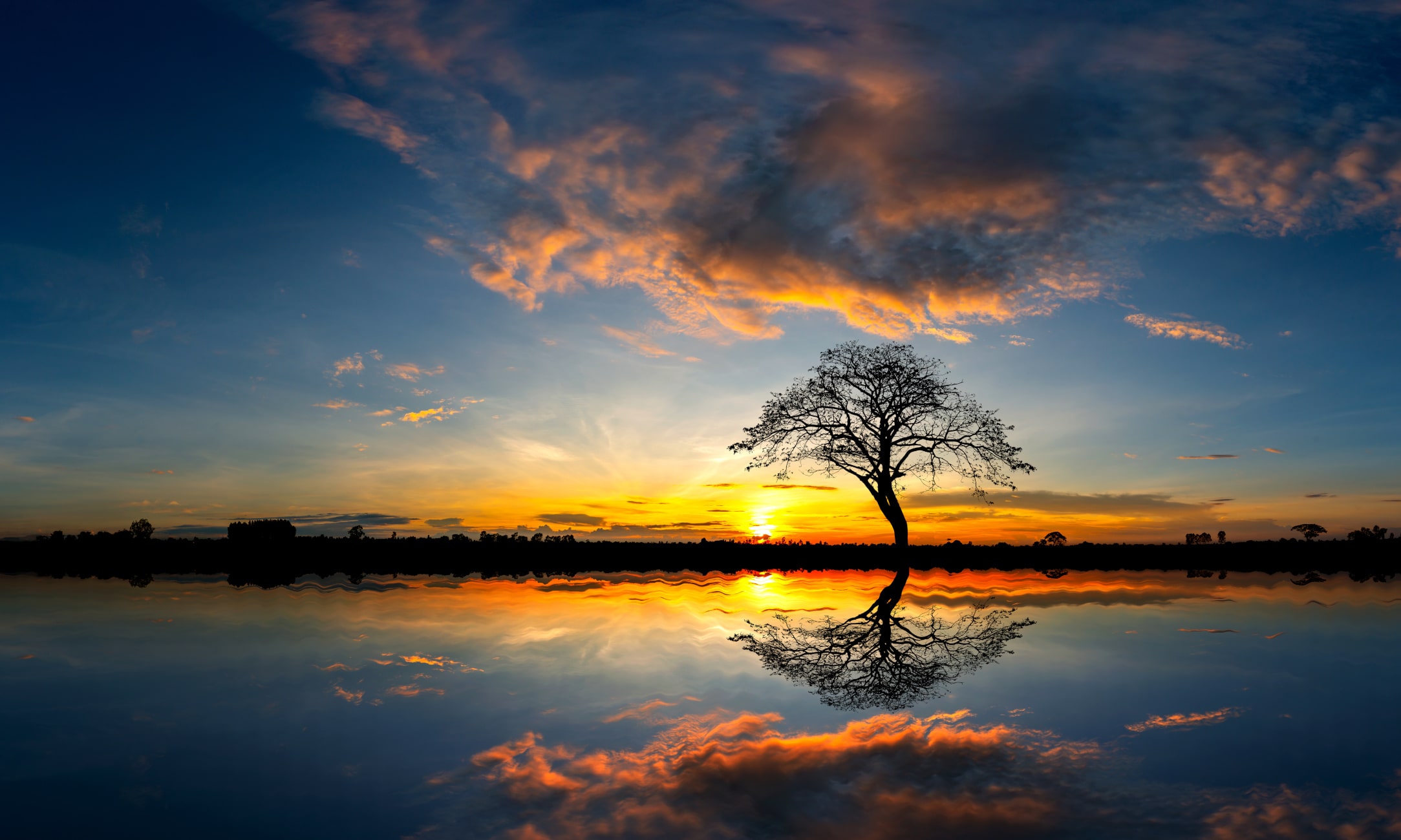 Baum in Afrika